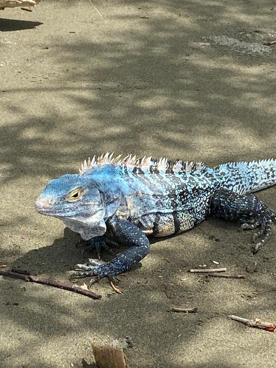 WhatsApp Image 2025-11-20 at 18.06.19 (38)