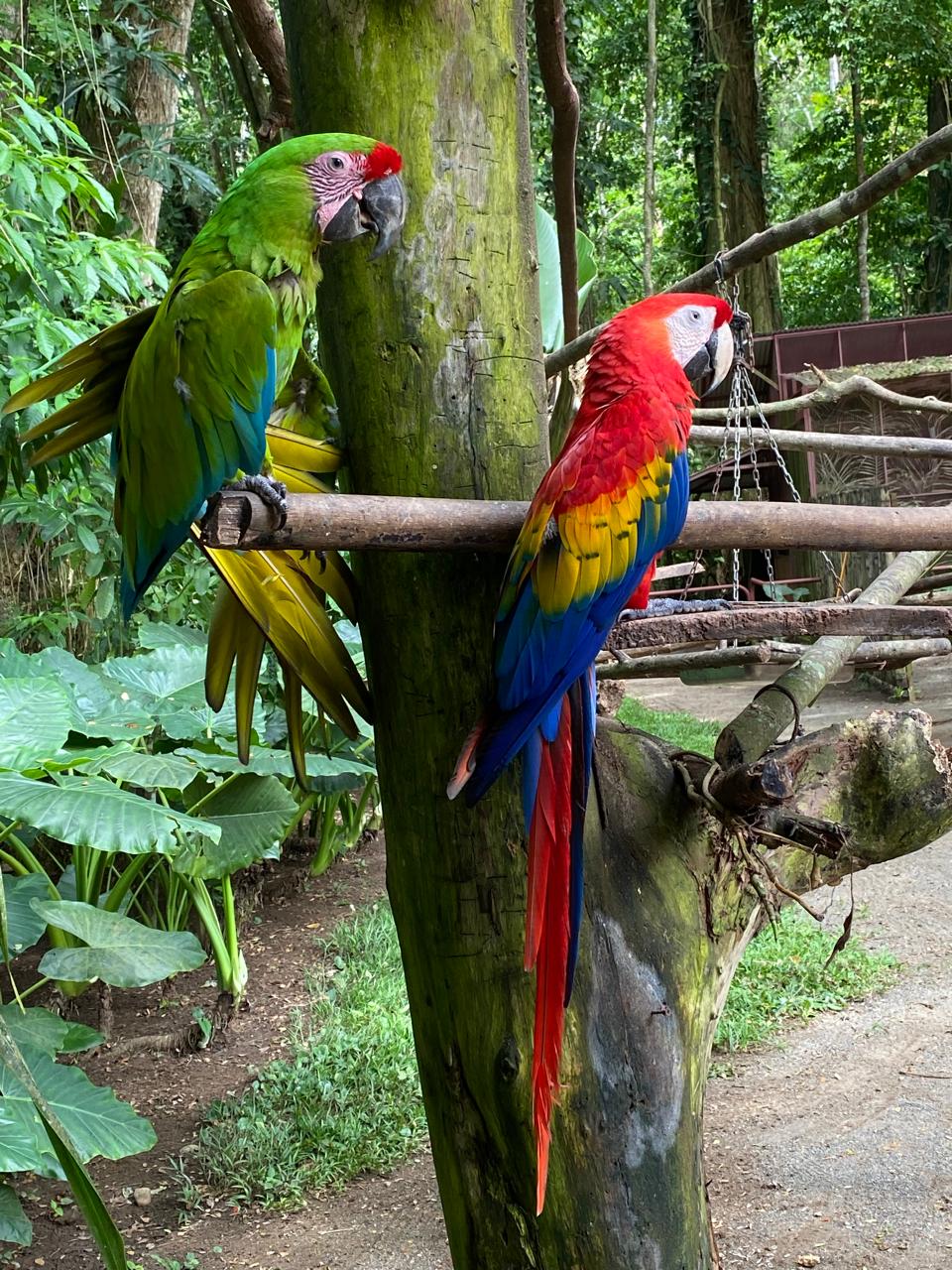 WhatsApp Image 2025-11-20 at 18.06.19 (44)