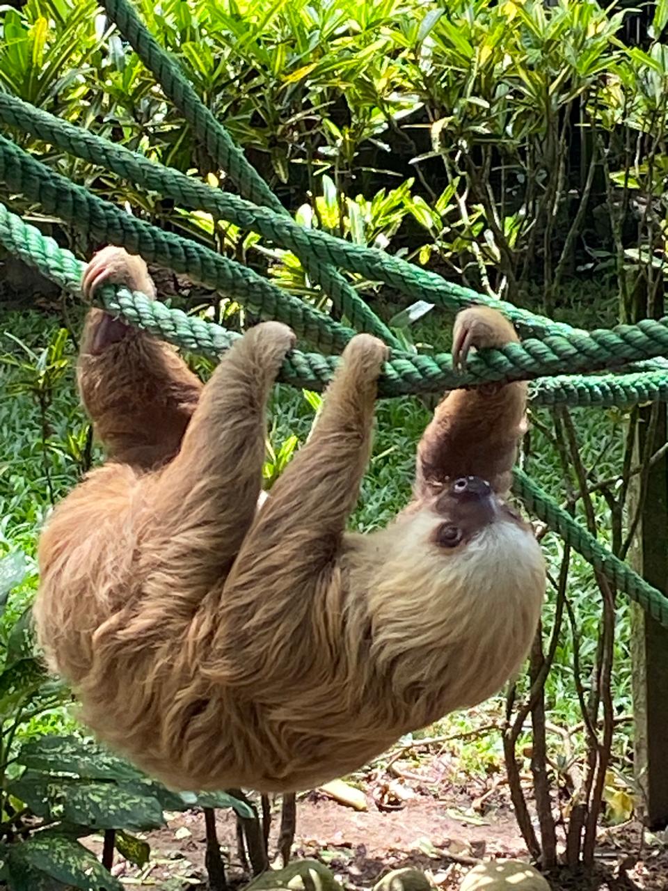 WhatsApp Image 2025-11-20 at 18.06.19 (45)