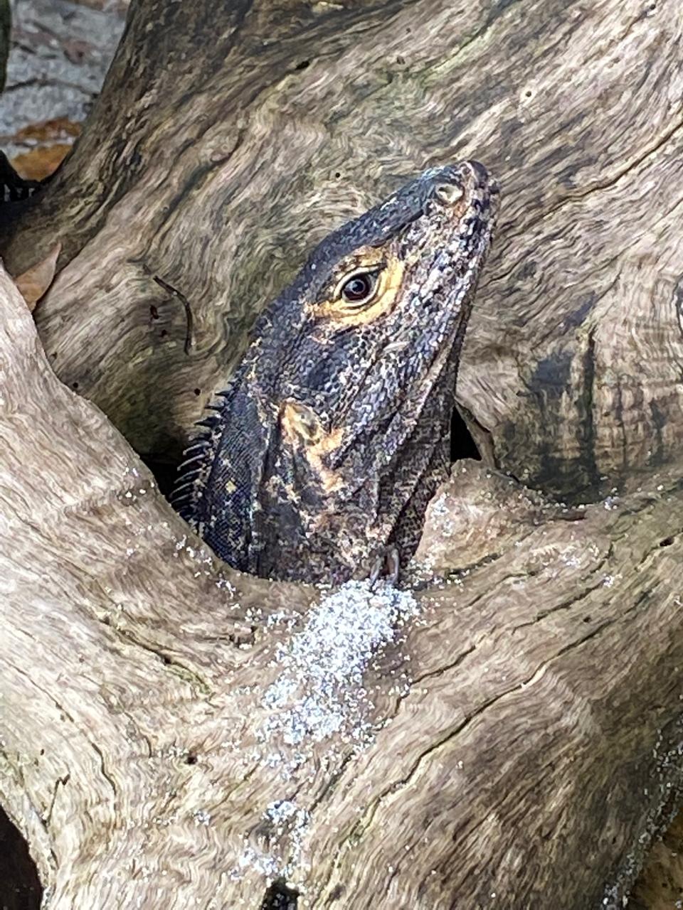 WhatsApp Image 2025-11-26 at 17.16.48 (9)