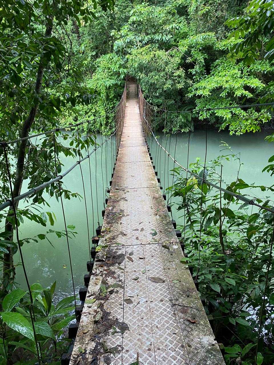 WhatsApp Image 2025-11-26 at 17.16.51 (15)