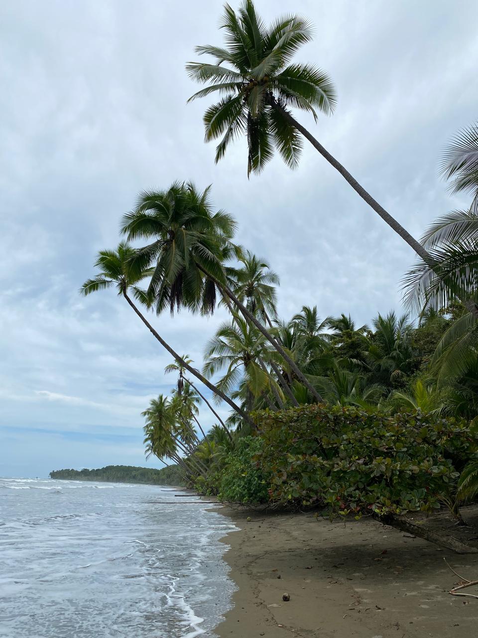 WhatsApp Image 2025-11-26 at 17.16.51 (7)