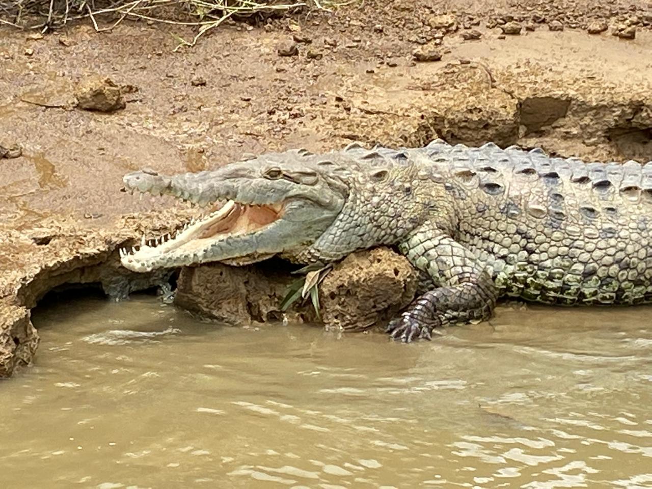 WhatsApp Image 2025-12-17 at 08.49.09 (2)